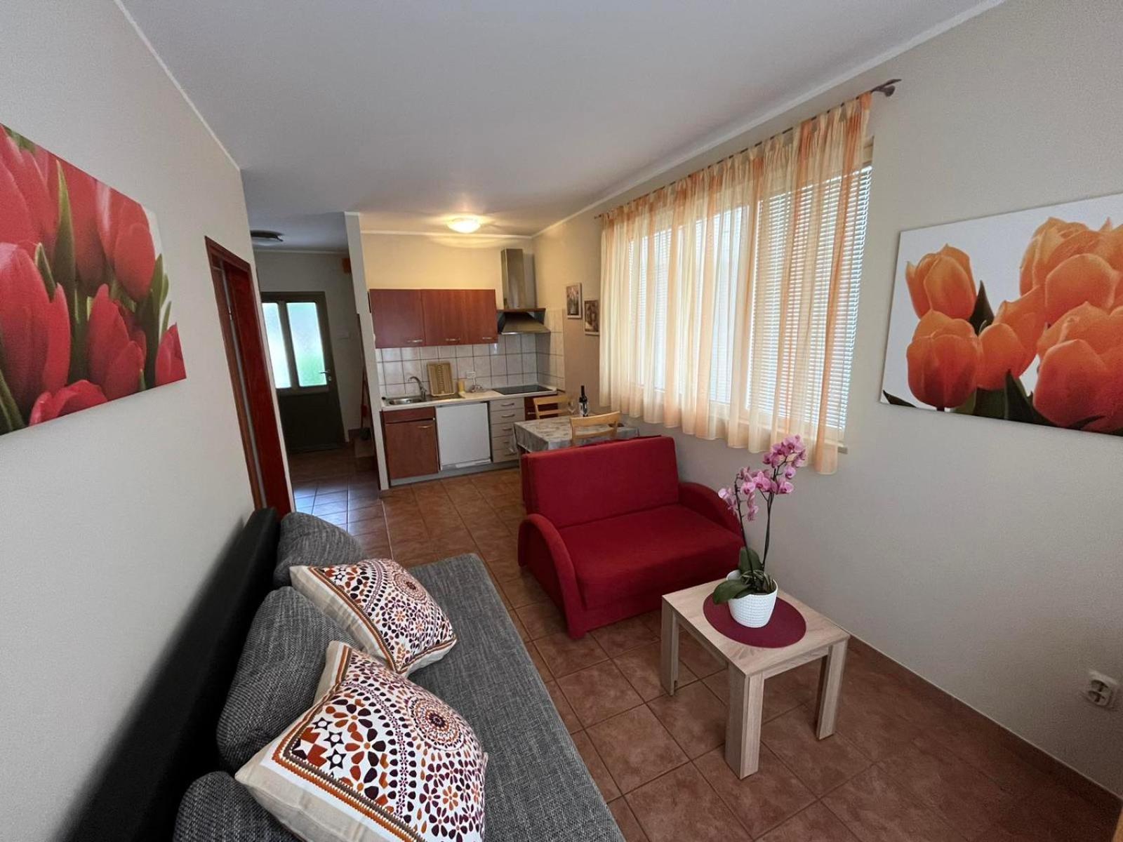 Family Apartments Suzi Rovigno Esterno foto