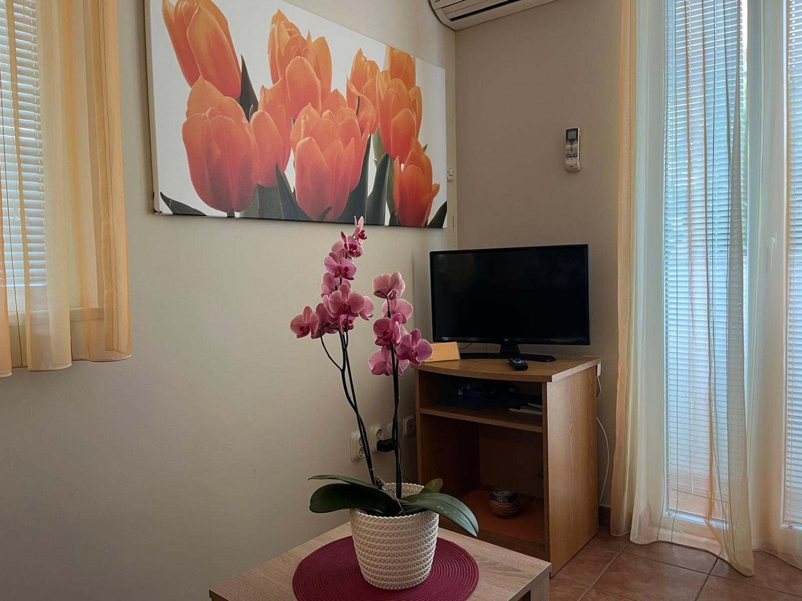 Family Apartments Suzi Rovigno Esterno foto